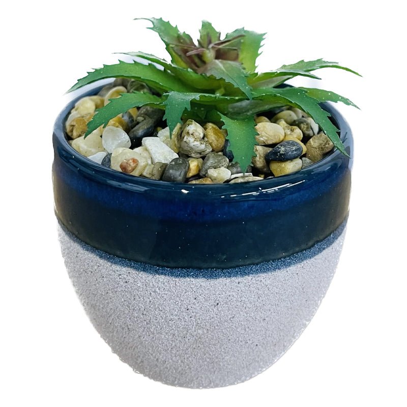 2 Tone Jar Succulent Decor - The Growers Depot