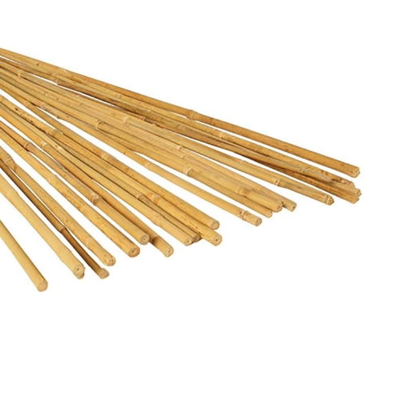 GROW!T® Natural Bamboo Stakes, 6ft, 25 Pack