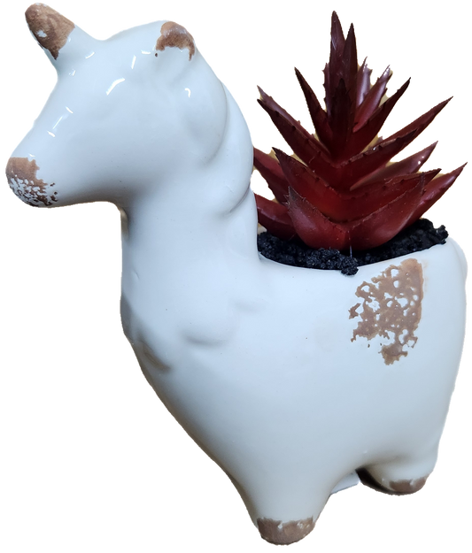 Unicorn Succulent Faux, White