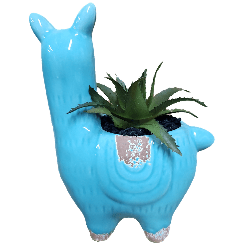 Llama Succulent Faux, Aqua