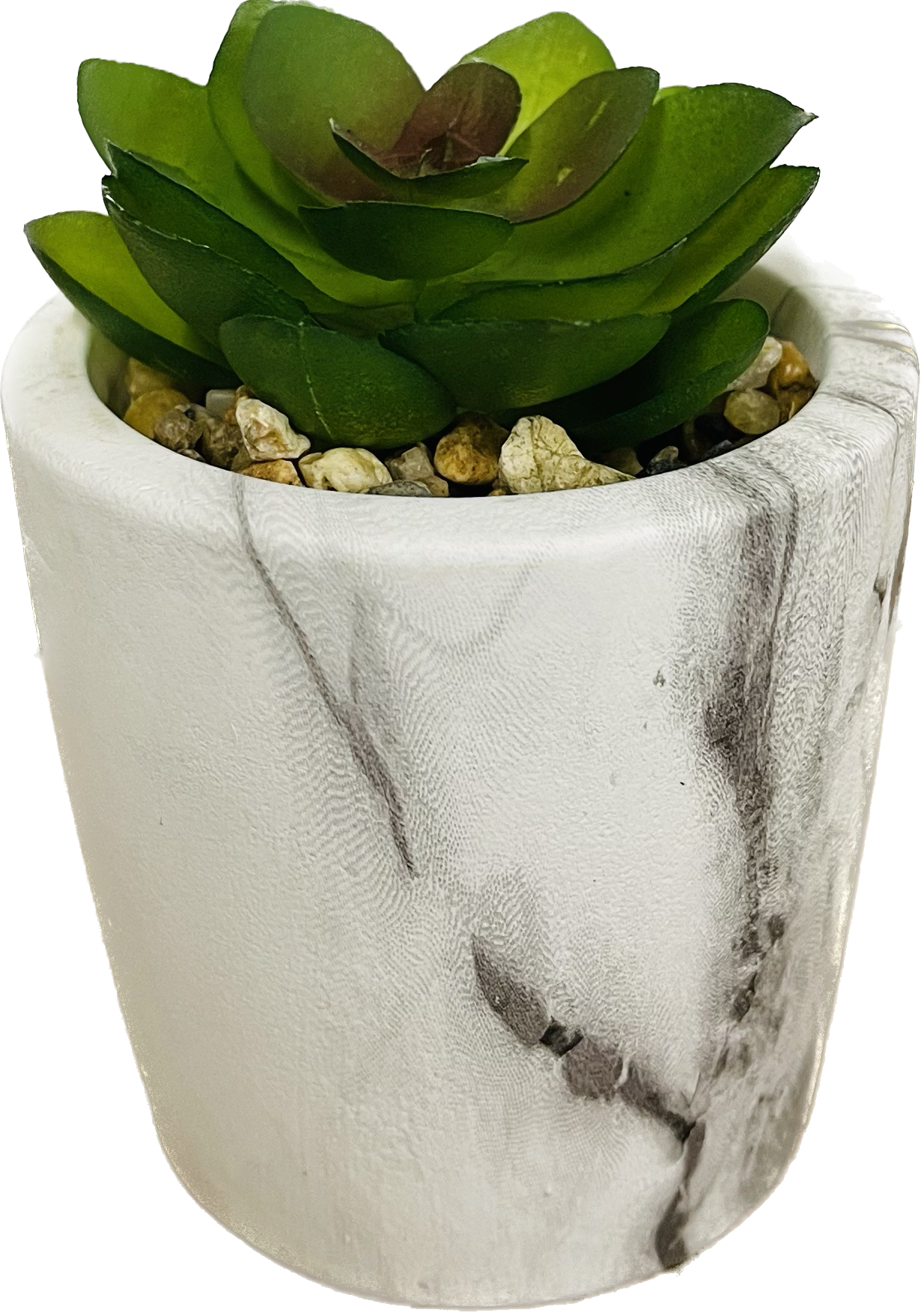Marble Pot with Succulent Decor