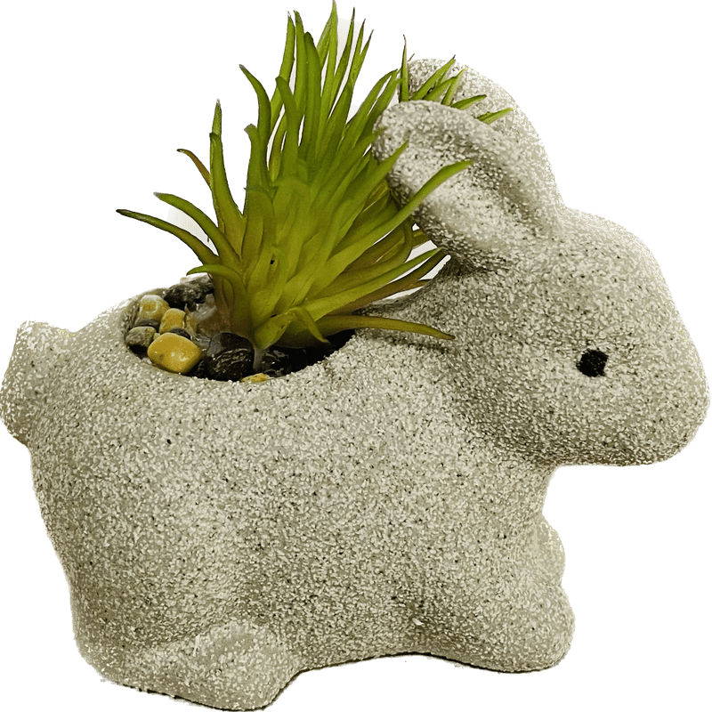 rabbit succulents Bunny Succulent Decor, 3 Inch – The Growers Depot