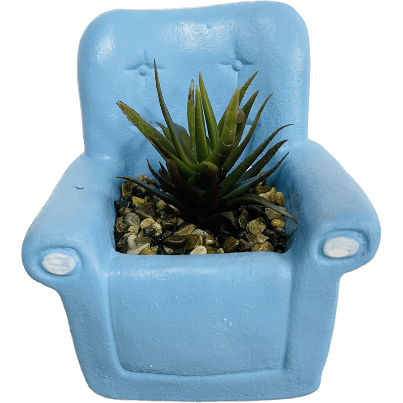 Cartoon Chair with Succulent Decor, 5 Inch