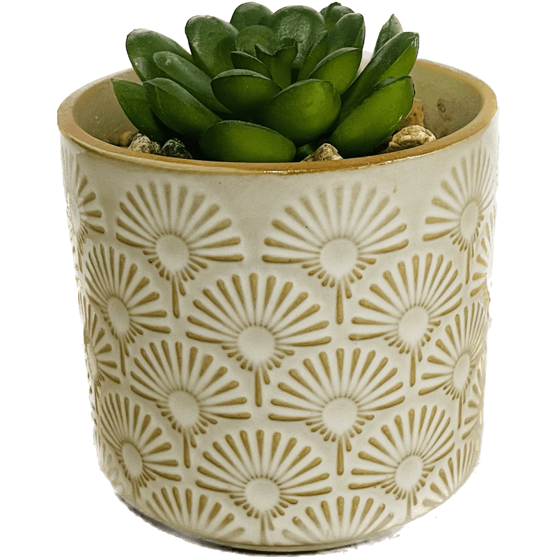 Color Planter with Succulent Decor