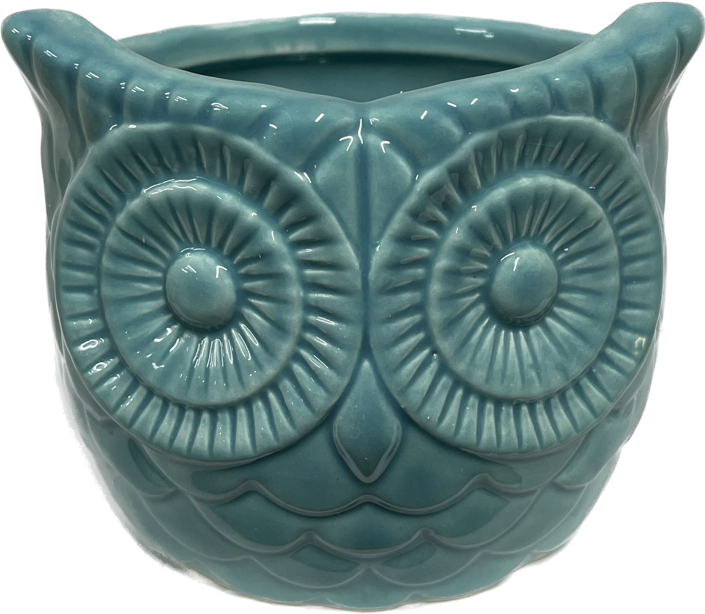 Decorative Owl Pot 4 inch