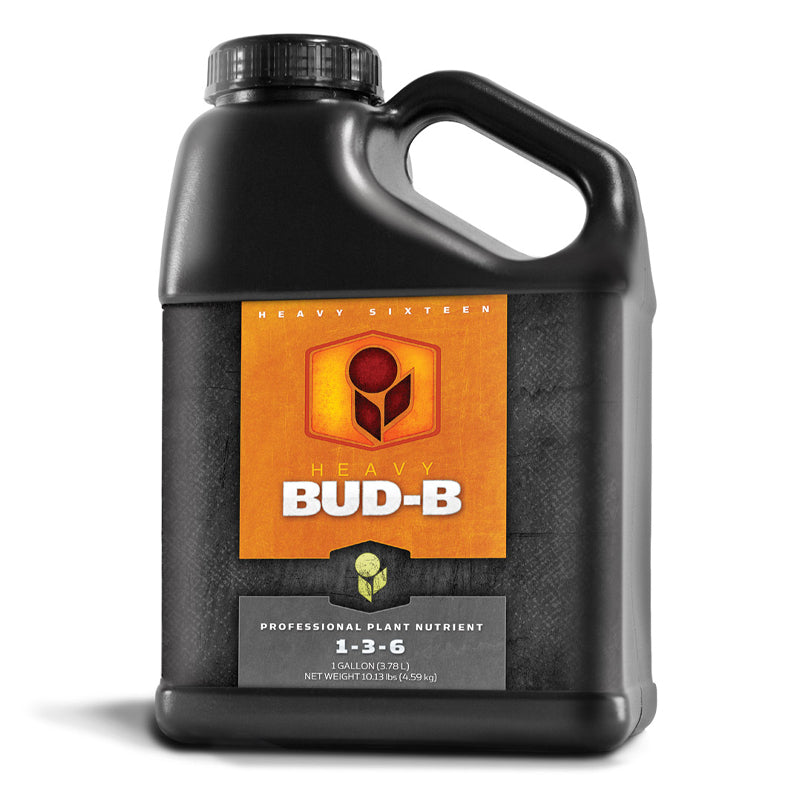 Heavy 16 Bud B, Gallon