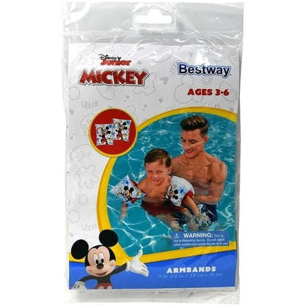 Disney Swim Armbands