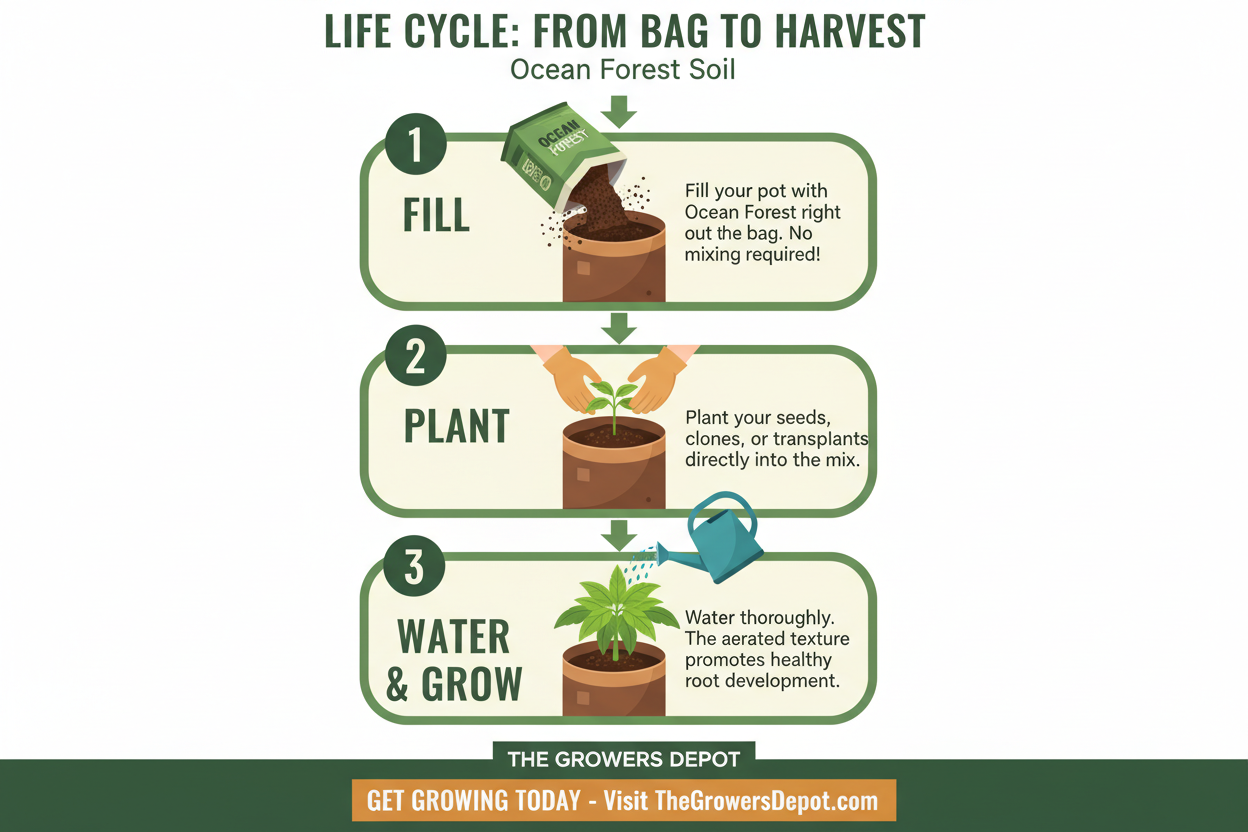 Step-by-step guide for growing plants from bag to harvest using Ocean Forest Soil.