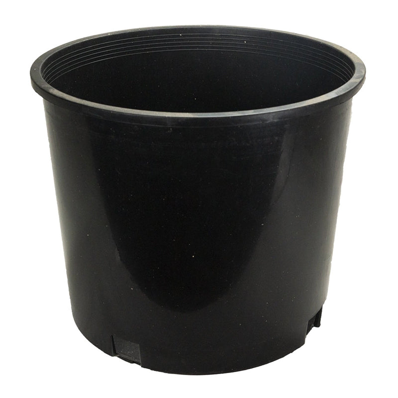 2 gallon plastic pots for plants 2 Gallon Premium Nursery Pots