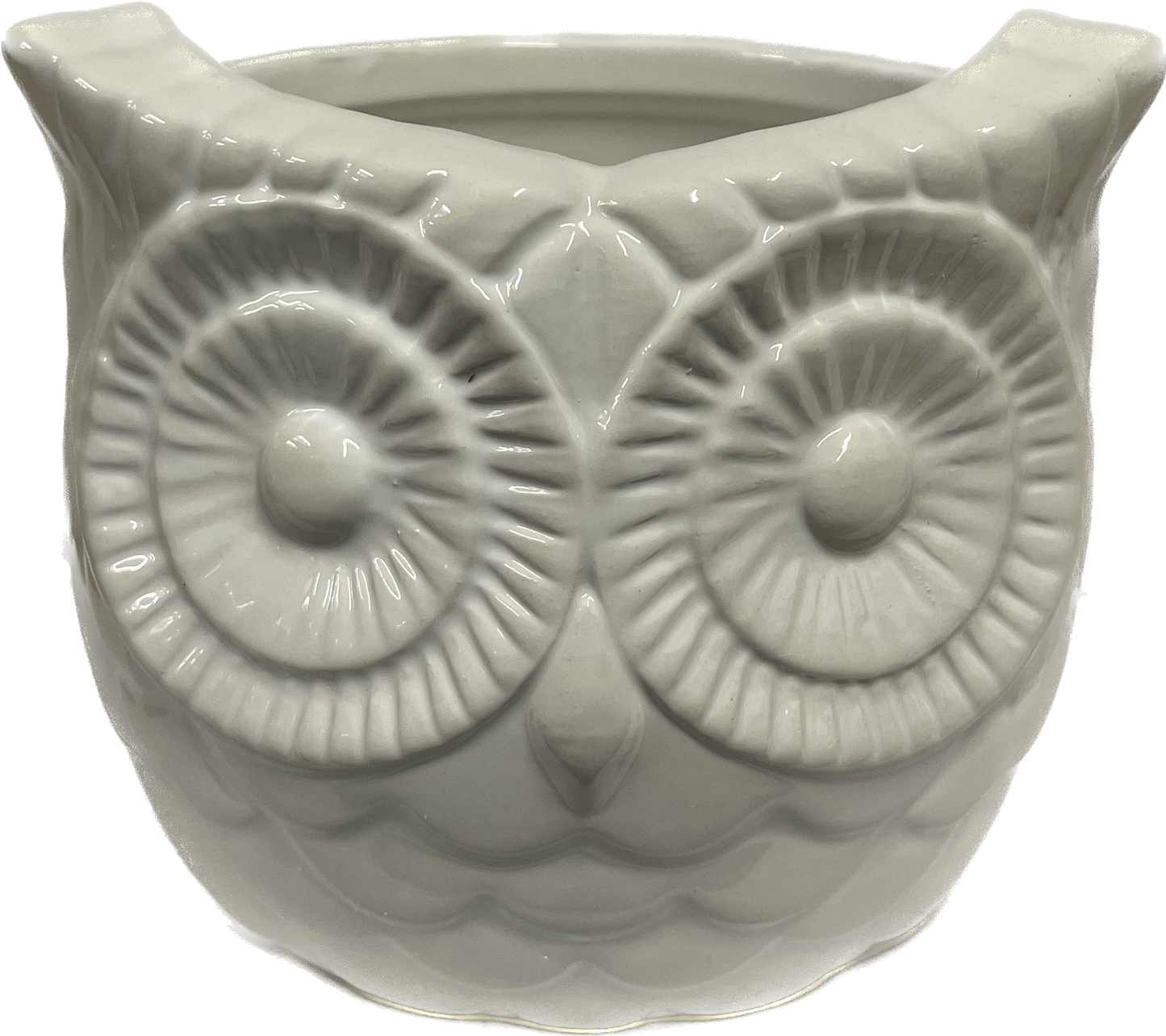 Decorative Owl Pot 4 inch