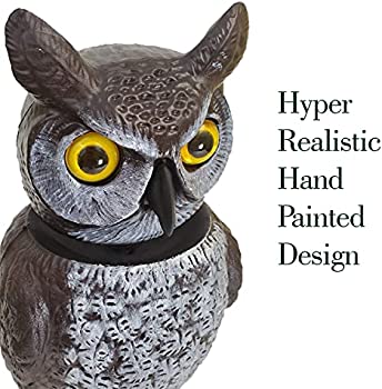 Dalen Natural Enemy Scarecrow® Rotating-Head Owl