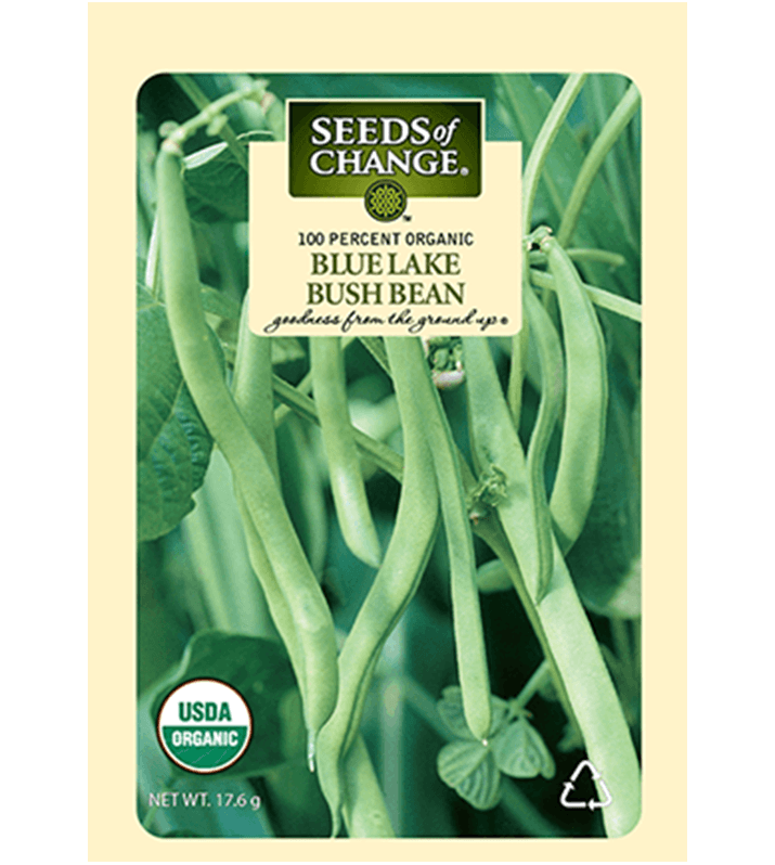 green beans seeds for planting Seeds Of Change Blue Lake Bush Bean