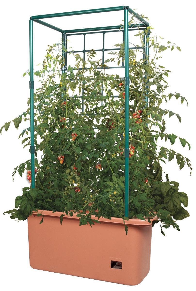 tomato planter with trellis Hydrofarm Tomato Lattice Panel Trellis