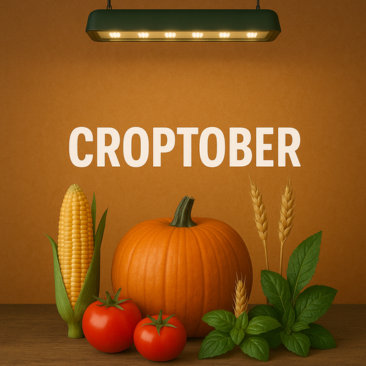 Croptober Harvest Season Is Here - Stock Up on Grower Essentials!