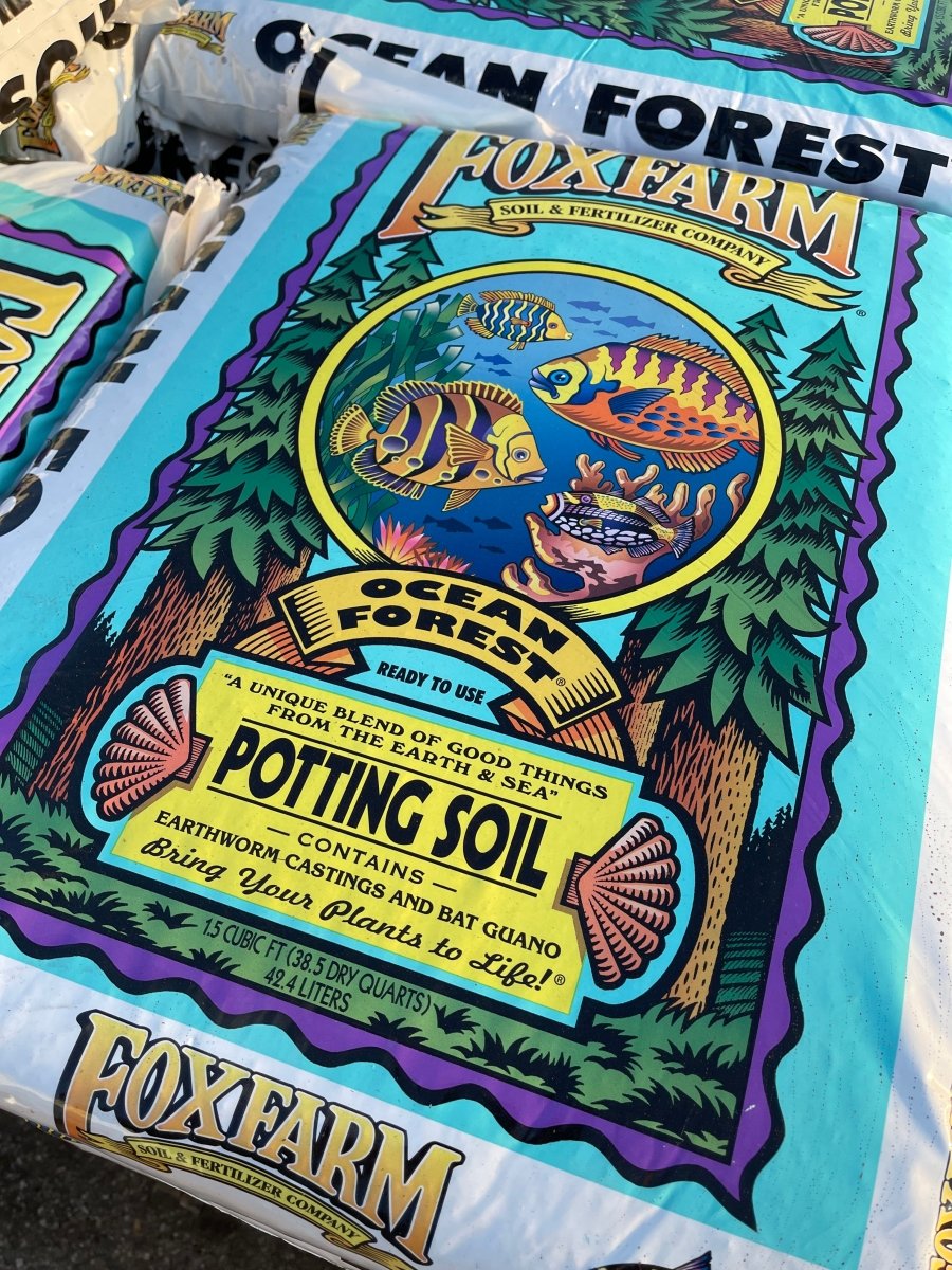 Unlocking the Secrets of FoxFarm Ocean Forest Soil: A Gardener's Dream - The Growers Depot