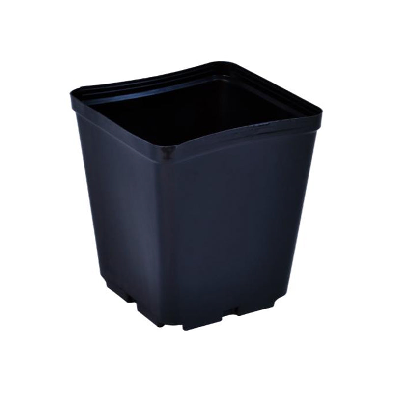 Gro Pro® Square Plastic Pot, 5 x 5 x 5.25 in