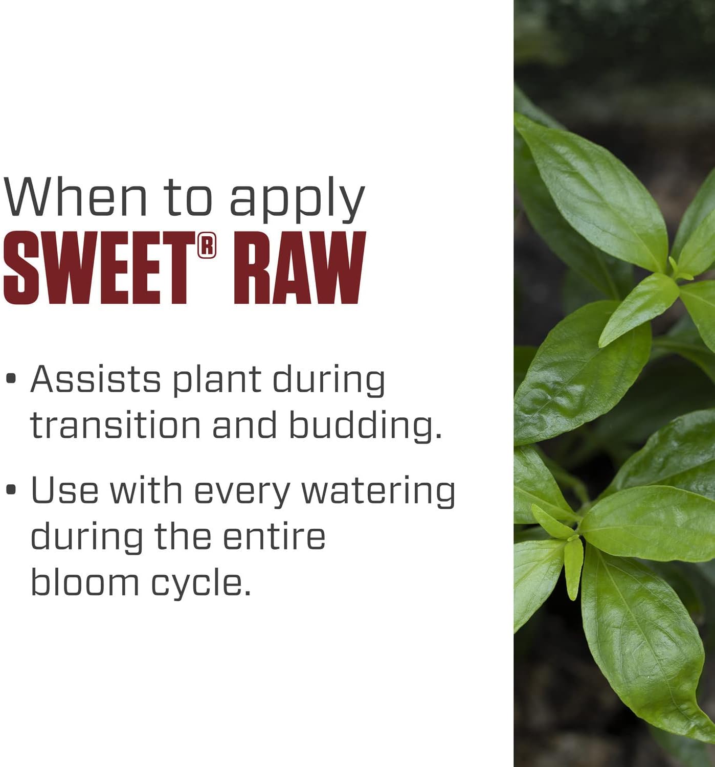 Botanicare® Sweet® Raw Quart