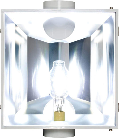 Radiant 6" Air Cooled Reflector (with Lens)