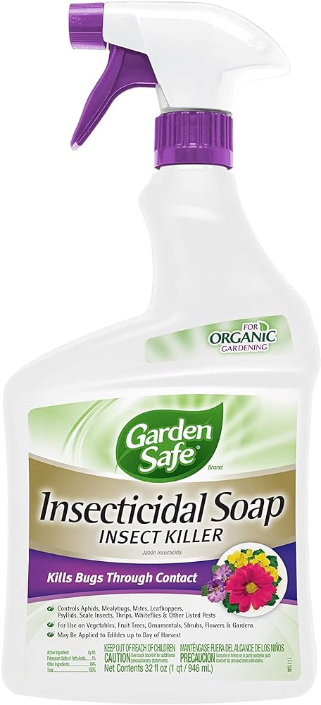 safe garden spray Garden Safe 24-fl oz Insecticidal Soap Garden Insect Killer Trigger Sp – The Growers Depot