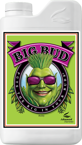 Advanced Big Bud 250ml