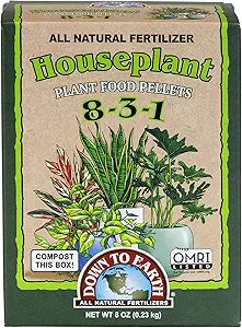 Down to Earth Mini Houseplant 0.5lb