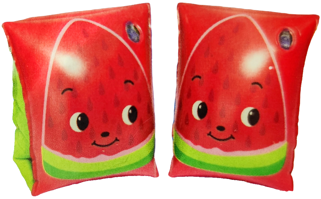 H2OGo! Inflatable Armbands Pool Kids Floaties