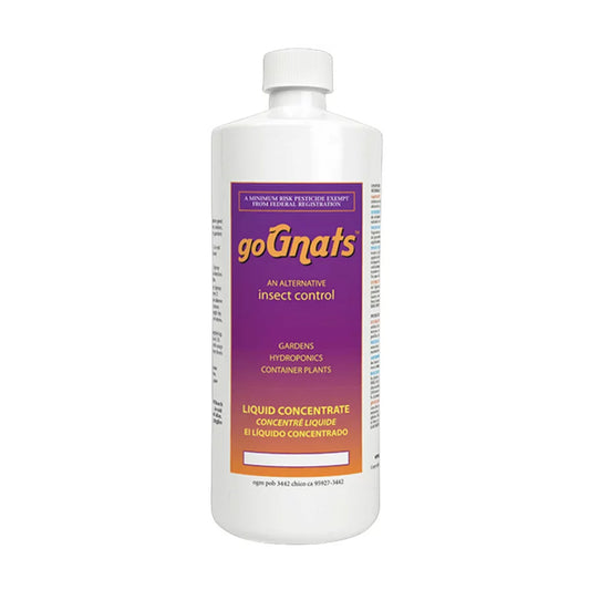 Gognats 16oz Pint