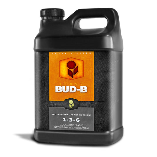 Heavy 16 Bud B, 2.5 gallon