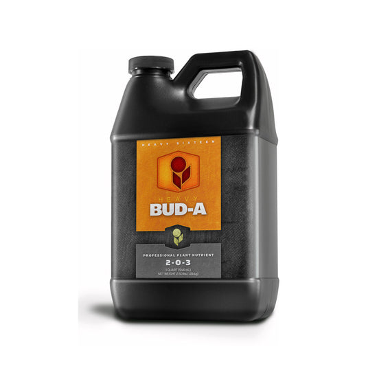 Heavy 16 Bud A, Quart
