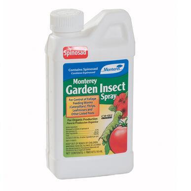 Monterey Garden Insect Spray container with label on a white background