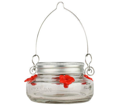 Nature's Way Mason Jar Hummingbird Dish Feeder, Clear