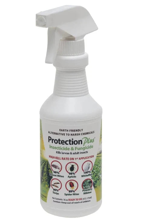 Protector Insectcide Protection Plus Insecticide Fungicide RTU 16 Oz – The Growers Depot