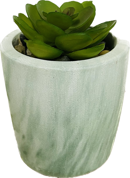 Marble Pot with Succulent Decor