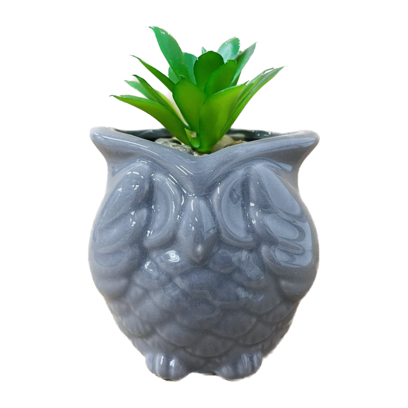 owl succulent Owl Succulent Decor – The Growers Depot