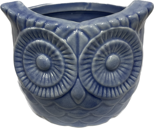 Decorative Owl Pot 4 inch