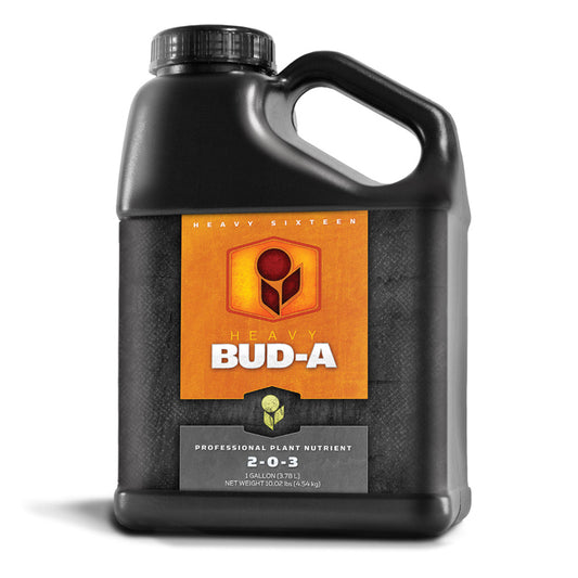 Heavy 16 Bud A, Gallon