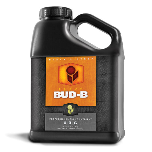Heavy 16 Bud B, Gallon