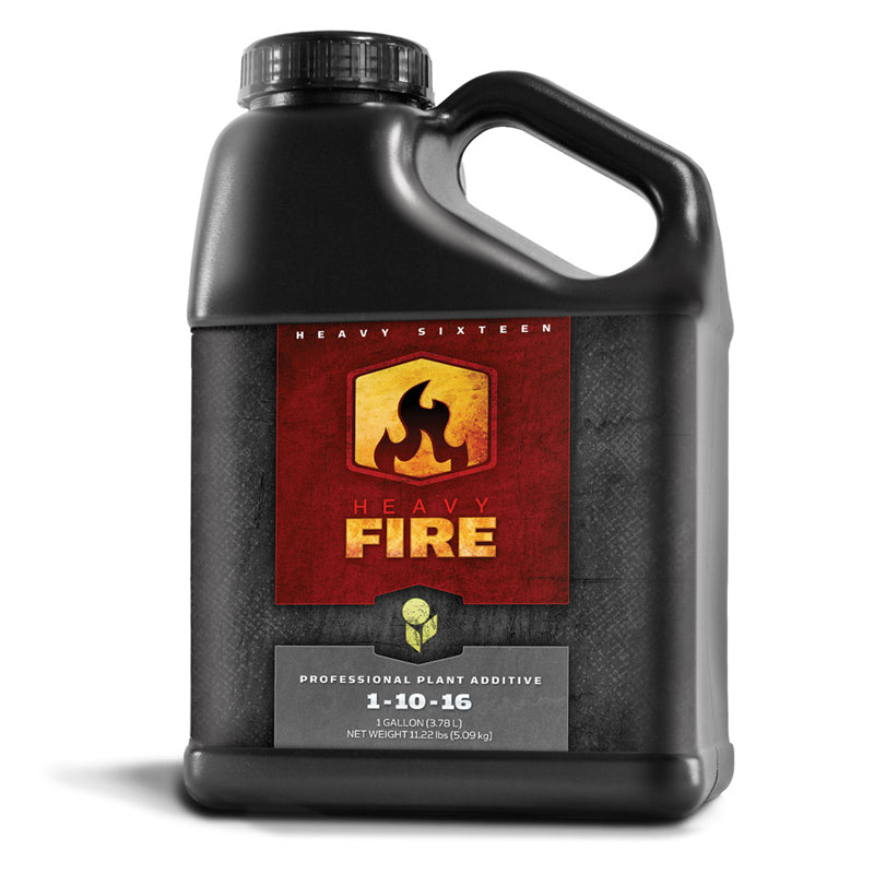 Heavy 16 Fire, Gallon