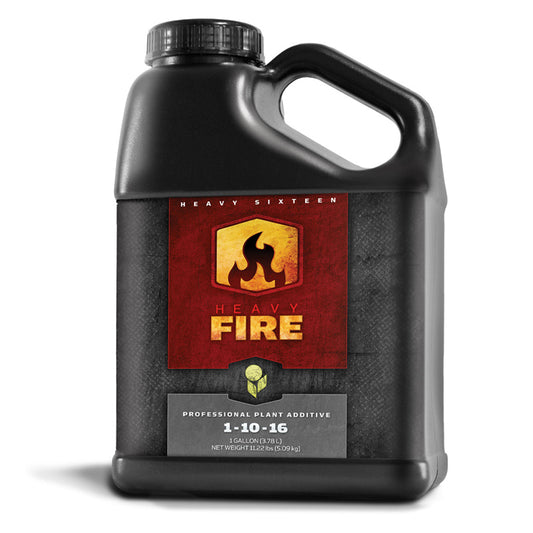 Heavy 16 Fire, Gallon