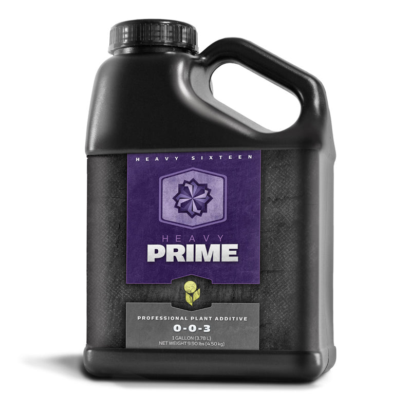 Heavy 16 Prime, Gallon