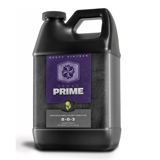 Heavy 16 Prime, Quart