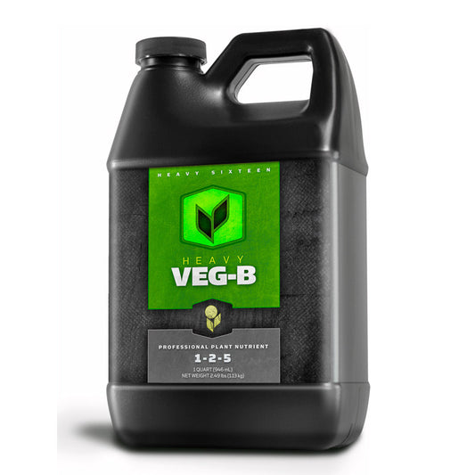 Heavy 16 Veg B, Quart