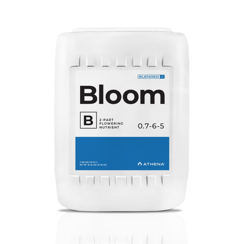 Athena Bloom B, Blended, 5 Gallon