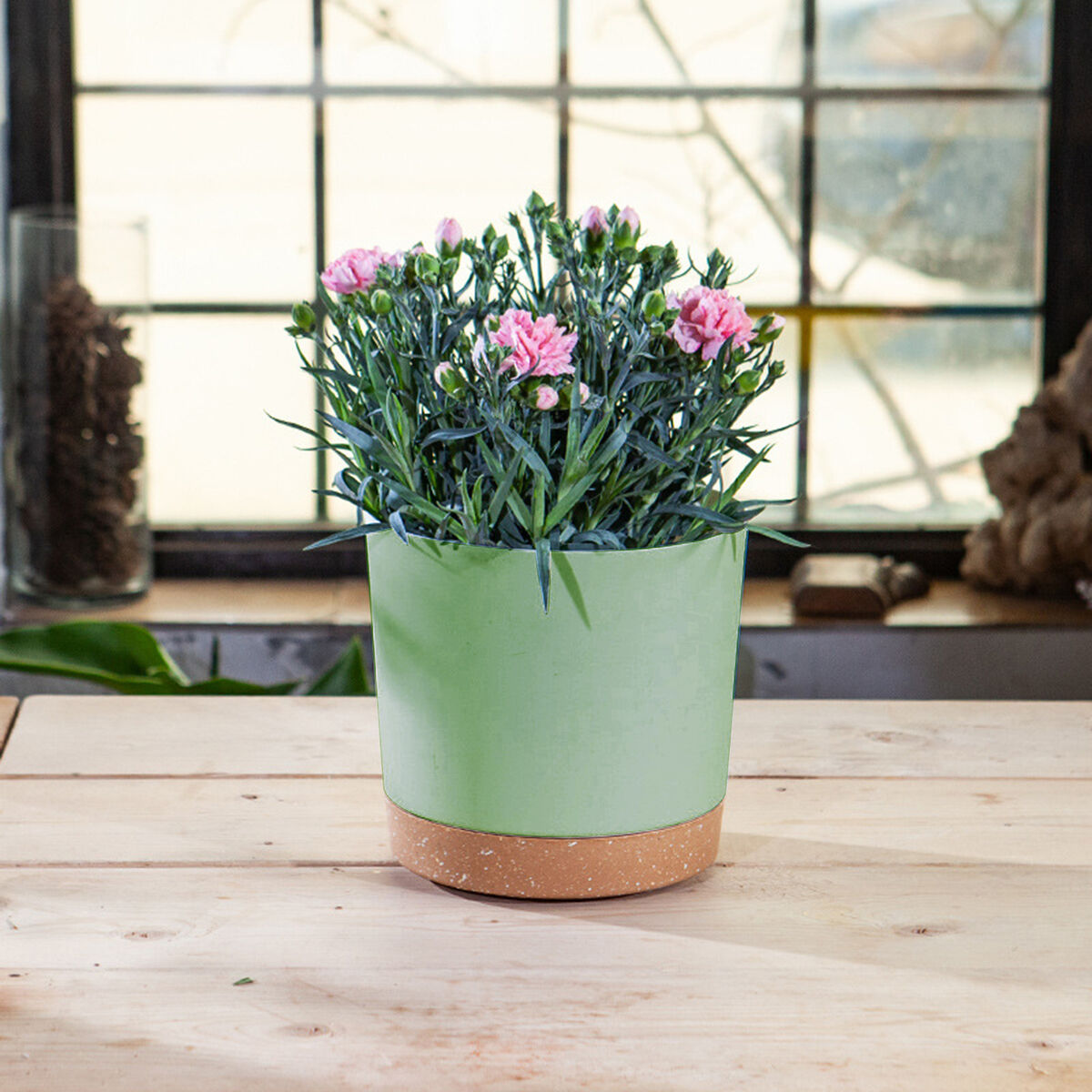 Modern Decorative Plant Pot With Drainage Holes and Saucer indoor/Outdoor, 8in (Mint Green)