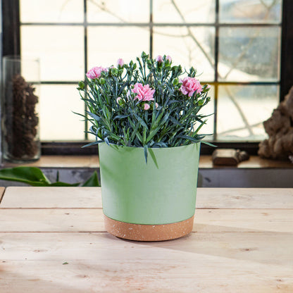 Modern Decorative Plant Pot With Drainage Holes and Saucer indoor/Outdoor, 8in (Mint Green)