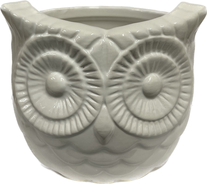 Decorative Owl Pot 4 inch