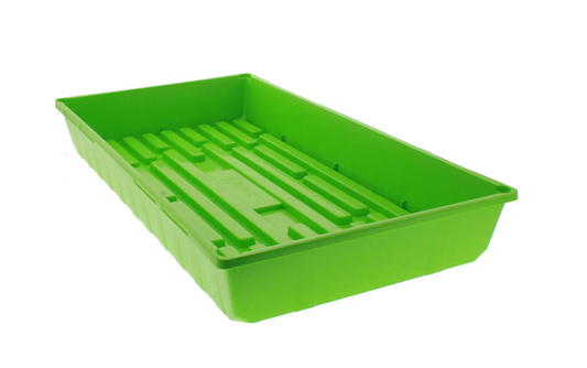 Mega Tray Yellow Lime Green