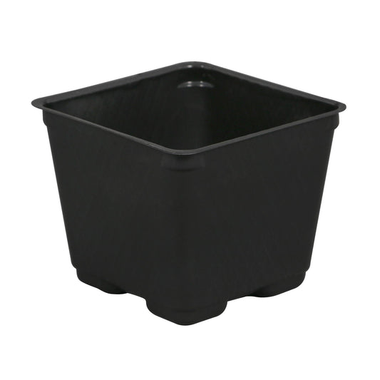 Gro Pro® Square Plastic Pot, 3.5 in