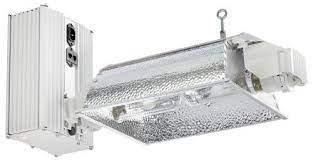 Gavita CMH 630e 208-240 4200k Lamp