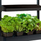 Sunblaster Micro T5 Grow Light Garden, Black